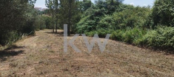 Grundstück in Montargil, Portugal 8750m², Nr. 91713 14