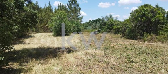 Grundstück in Montargil, Portugal 8750m², Nr. 91713 8