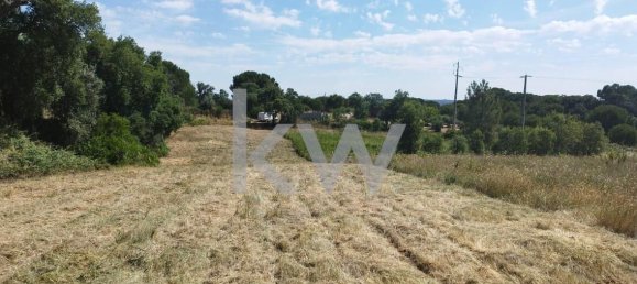 Grundstück in Montargil, Portugal 8750m², Nr. 91713 12