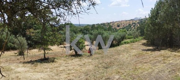 Grundstück in Montargil, Portugal 8750m², Nr. 91713 3