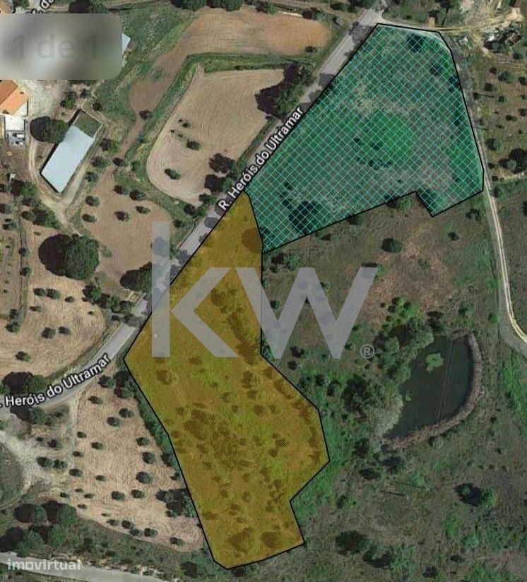 Grundstück in Montargil, Portugal 8750m², Nr. 91713