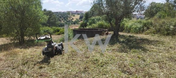 Grundstück in Montargil, Portugal 8750m², Nr. 91713 10