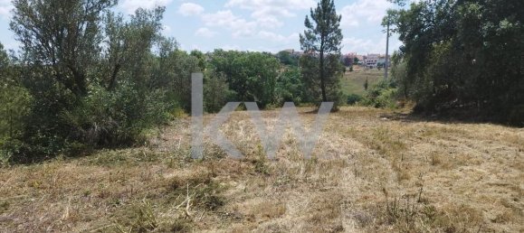 Grundstück in Montargil, Portugal 8750m², Nr. 91713 6