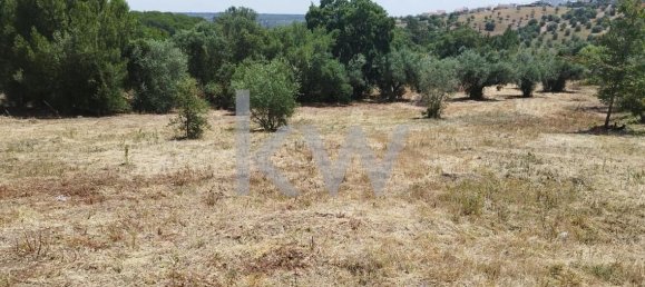 Grundstück in Montargil, Portugal 8750m², Nr. 91713 5