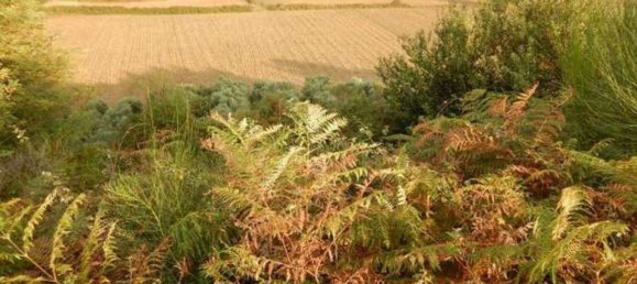 6-Zimmer Wohnung in Lariano, Italy, Nr. 204313 23