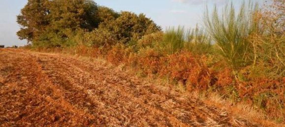 6-Zimmer Wohnung in Lariano, Italy, Nr. 204313 21