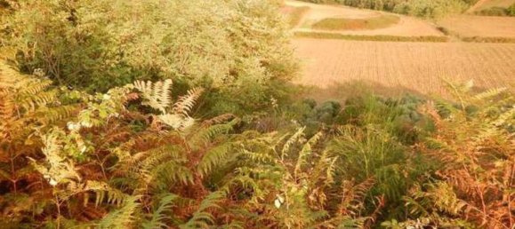 6-Zimmer Wohnung in Lariano, Italy, Nr. 204313 22