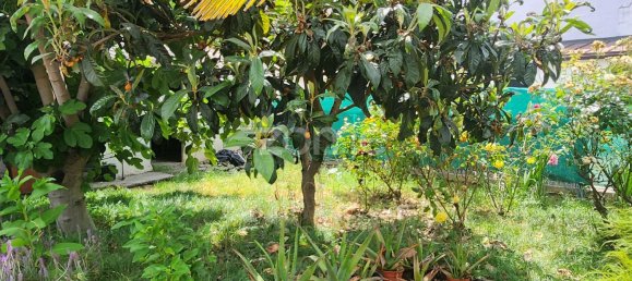 3 Schlafzimmer Haus in Tabuaco, Portugal, Nr. 190372 6