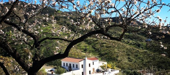 8 bedrooms House in Canillas de Aceituno, Spain No. 41521 24