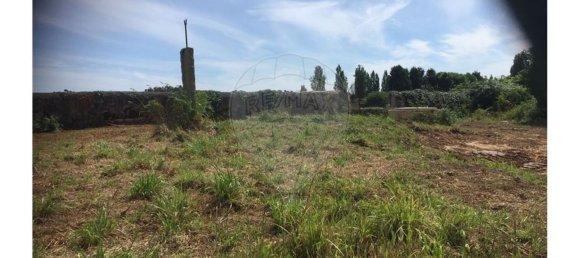 5991m² Land in Ovar, Portugal No. 89039 5