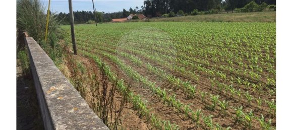 5991m² Land in Ovar, Portugal No. 89039 8