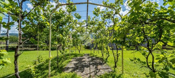 6 rooms Villa in Varano de' Melegari, Italy No. 206502 38