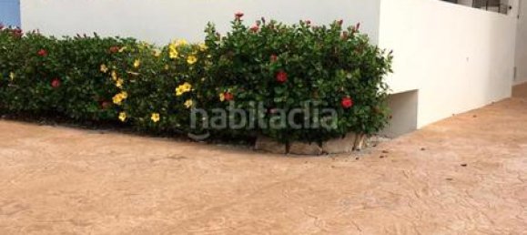 Apartamento de 3 dormitorios en El Ejido, Spain No. 132817 21