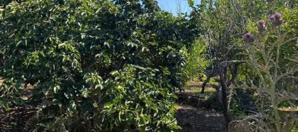 Casa de 3 habitaciónes en Santa Flavia, Italy No. 138115 37
