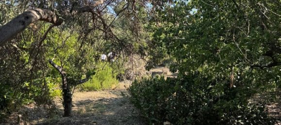 Casa de 3 habitaciónes en Santa Flavia, Italy No. 138115 38