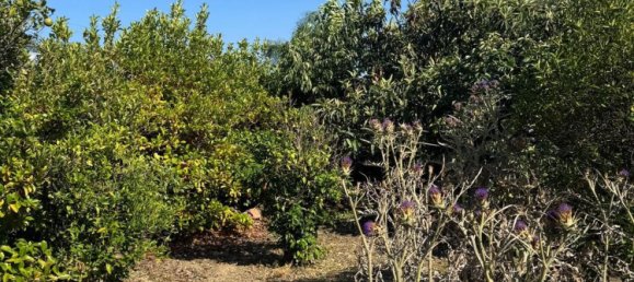 Casa de 3 habitaciónes en Santa Flavia, Italy No. 138115 42