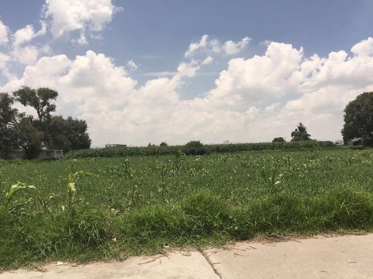  قطعة أرض في San Mateo Atenco, Mexico رقم 203287