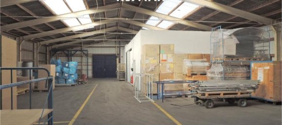 4250m² Commercial property in Rustorf, Austria No. 221778 10