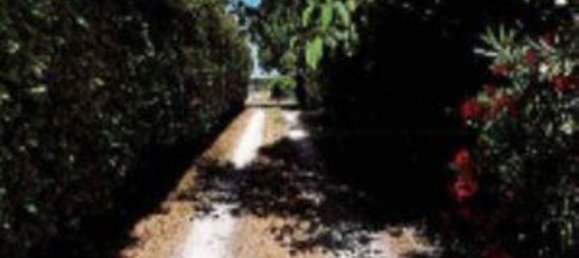 3 rooms Apartment in Vigarano Mainarda, Italy No. 306945 17