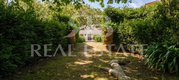 12 bedrooms Land in Portalegre, Portugal No. 102500 20