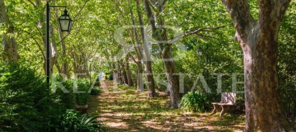 12 bedrooms Land in Portalegre, Portugal No. 102500 34