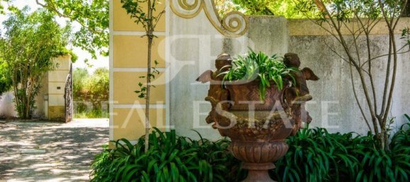 12 bedrooms Land in Portalegre, Portugal No. 102500 10