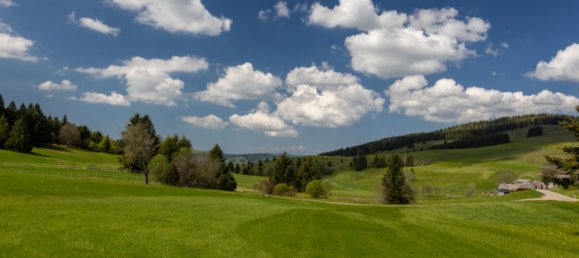 3 Schlafzimmer Haus in Lörrach, Germany, Nr. 90370 25