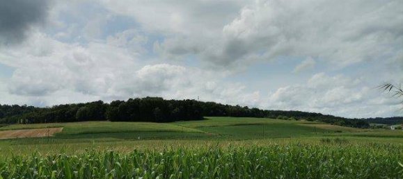 4 chambres Maison à Kukmirn, Austria No. 236806 25