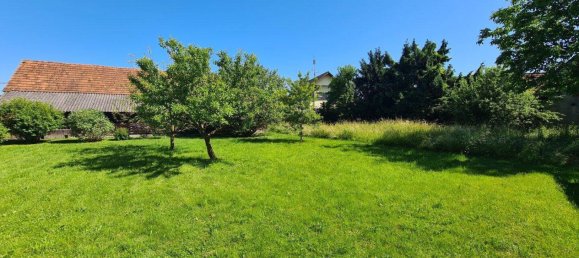 7 rooms House in Mureck, Austria No. 178111 22