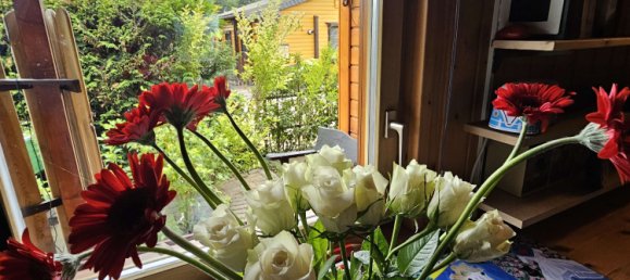 Bungalow T2 em Wesel, Germany N.º 264858 17