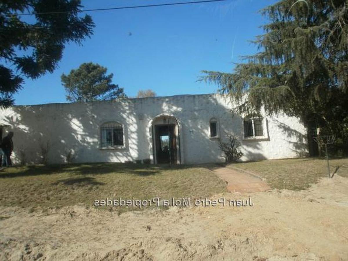 2 bedrooms House in Canelones, Uruguay No. 9185