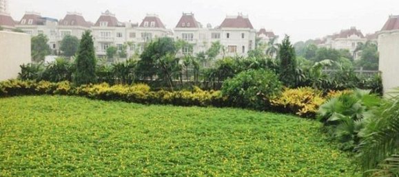 4 Schlafzimmer Villa in Tay Ho, Vietnam, Nr. 5349 25