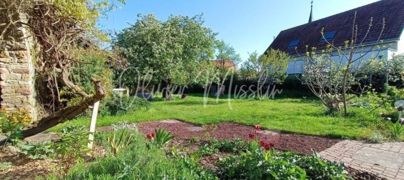 5 bedrooms House in Bantzenheim, France No. 66400 18