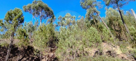 5 Schlafzimmer Haus in Macao, Portugal, Nr. 30180 40