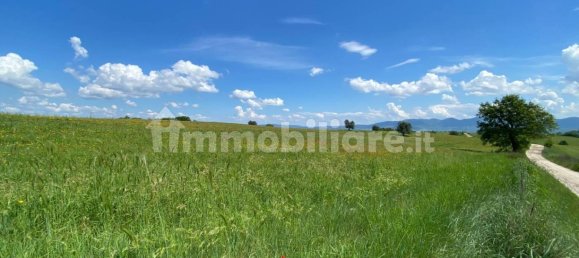 Земельный участок 525000м² в Кастильоне ин Теверина, Италия № 268210 5