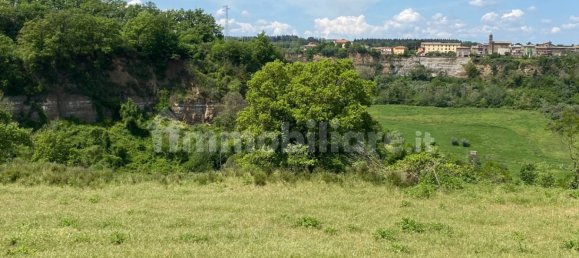 Земельный участок 525000м² в Кастильоне ин Теверина, Италия № 268210 14