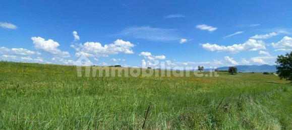 Земельный участок 525000м² в Кастильоне ин Теверина, Италия № 268210 2