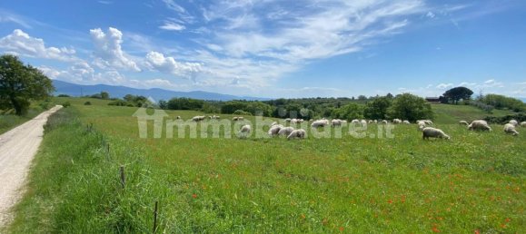 Земельный участок 525000м² в Кастильоне ин Теверина, Италия № 268210 6