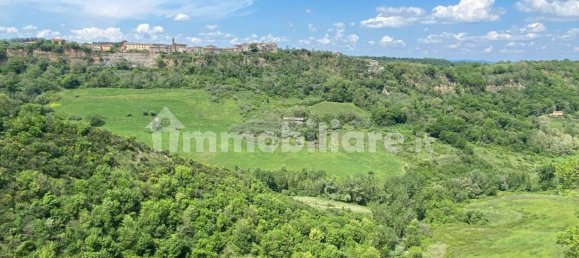 Земельный участок 525000м² в Кастильоне ин Теверина, Италия № 268210 8