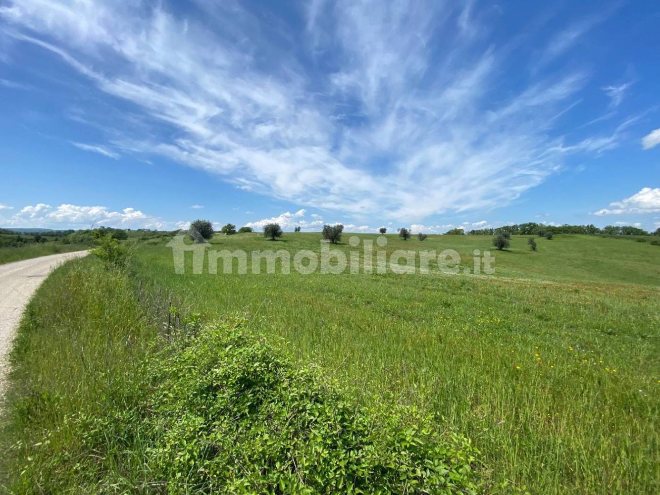 Земельный участок 525000м² в Кастильоне ин Теверина, Италия № 268210