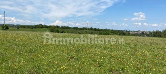 Земельный участок 525000м² в Кастильоне ин Теверина, Италия № 268210 16