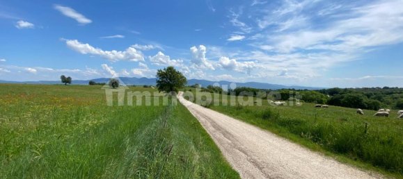 Земельный участок 525000м² в Кастильоне ин Теверина, Италия № 268210 7