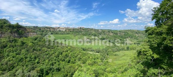 Земельный участок 525000м² в Кастильоне ин Теверина, Италия № 268210 9