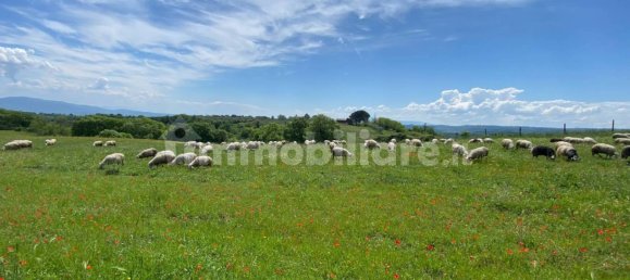 Земельный участок 525000м² в Кастильоне ин Теверина, Италия № 268210 21