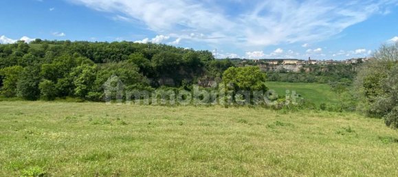 Земельный участок 525000м² в Кастильоне ин Теверина, Италия № 268210 15