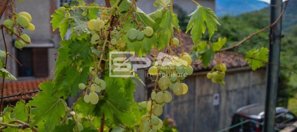 6 bedrooms House in Villar Dora, Italy No. 364037 35