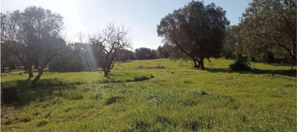 2-Zimmer Haus in San Vito dei Normanni, Italy, Nr. 134253 8