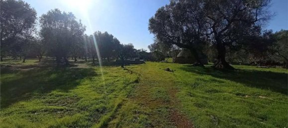 2-Zimmer Haus in San Vito dei Normanni, Italy, Nr. 134253 16