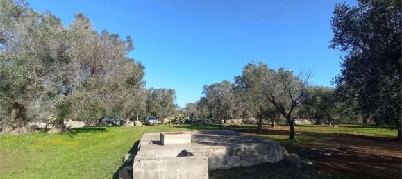 2-Zimmer Haus in San Vito dei Normanni, Italy, Nr. 134253 15