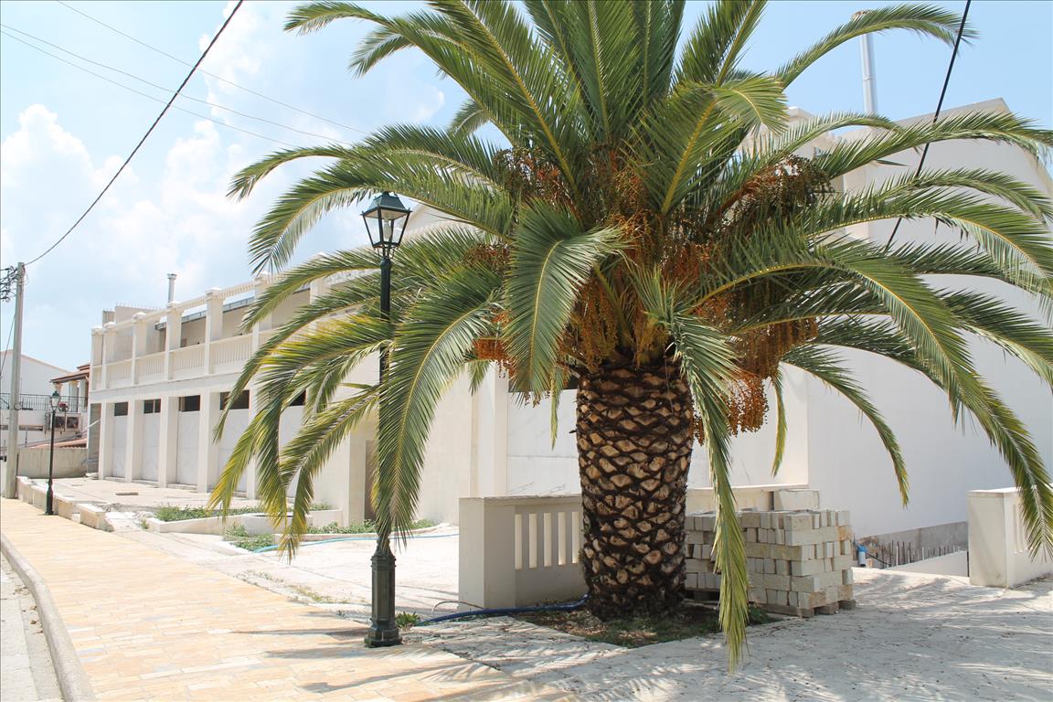 1545m² propriété à vendre à Corfu, Central Corfu and Diapontian Islands, Corfu, Ionian Islands, Peloponnese, Western Greece and the Ionian, Greece № 7766